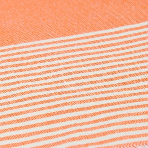 Loincloth-Route-Oranj2