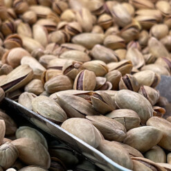 Turkish Pistachio