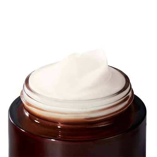 Day Cream Nourishing Anti-Aging Precious Oil Care Riche Creme
